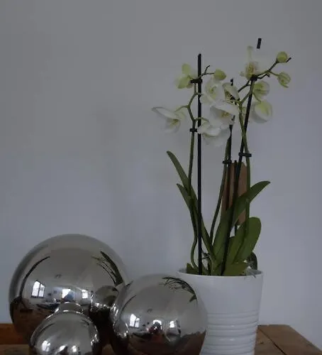 בית נופש Esten's Eifelheimat Eifel